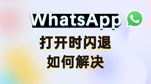 WhatsApp Desktop 启动界面示意图