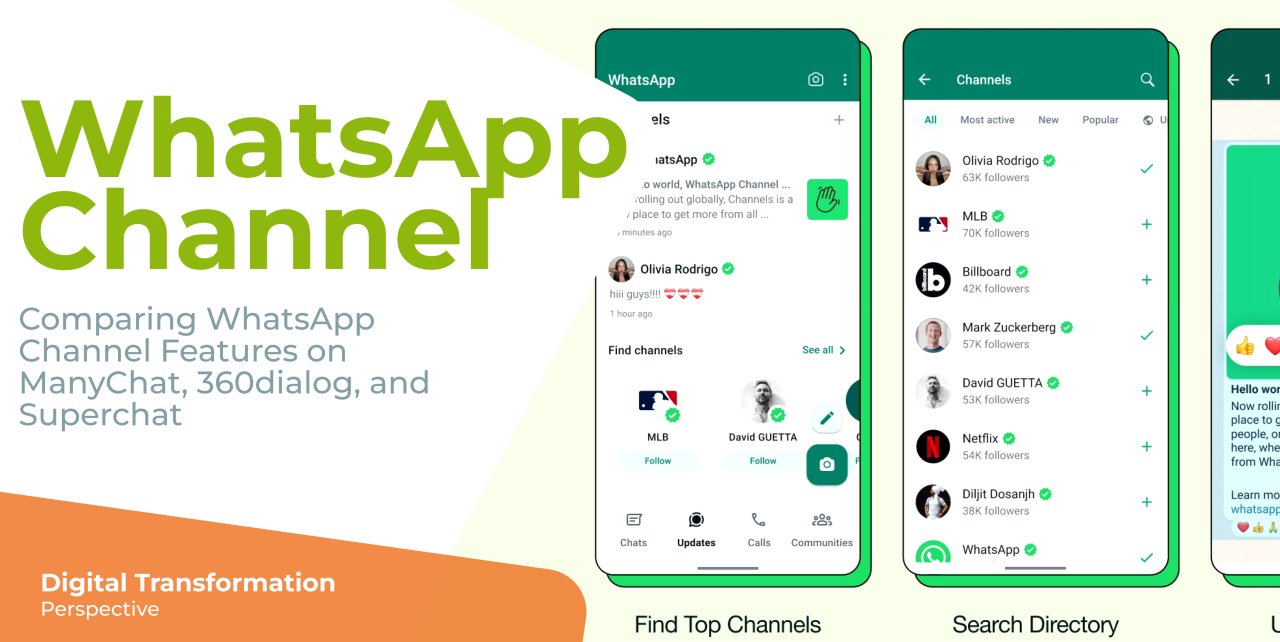 WhatsApp可以语音通话吗？ 示意图