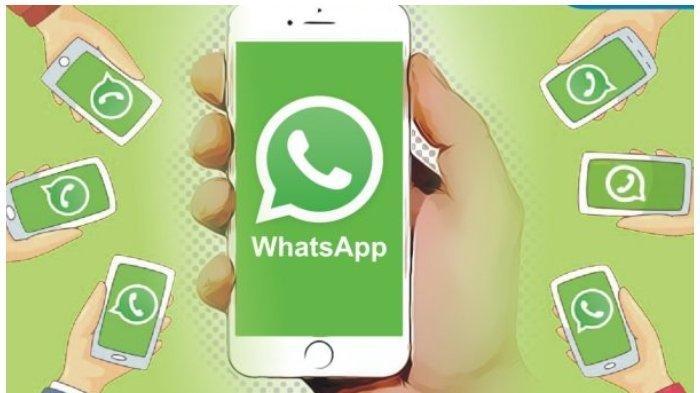 WhatsAppBusiness和Whatapp有什么区别? 登录界面截图