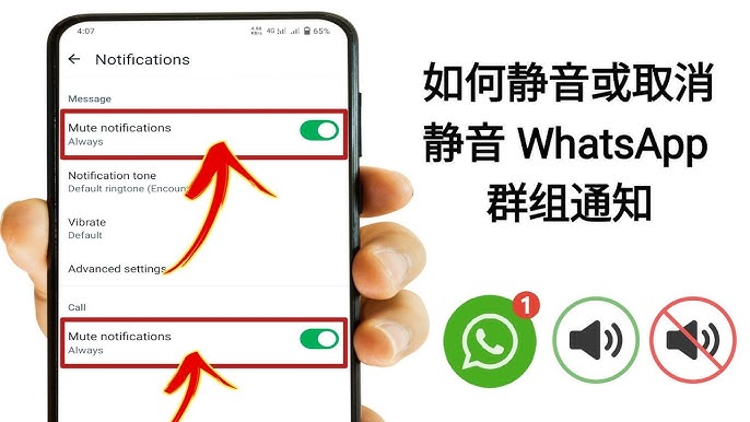 WhatsApp通知怎么设置? 登录界面截图