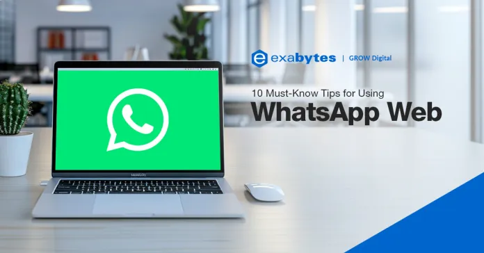 WhatsApp消息自毁如何设置？ 使用教程图