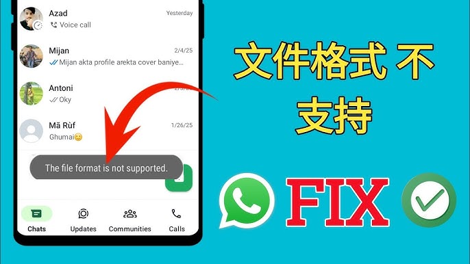 WhatsApp支持哪些文件格式？