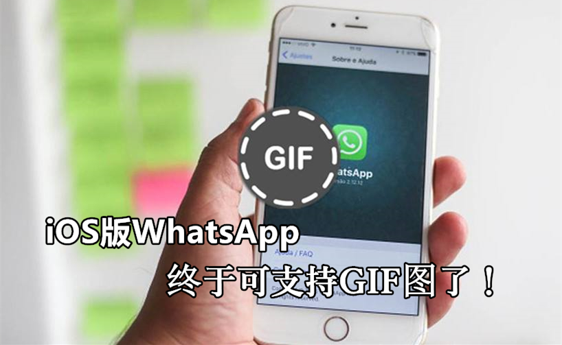 WhatsApp能发GIF吗？