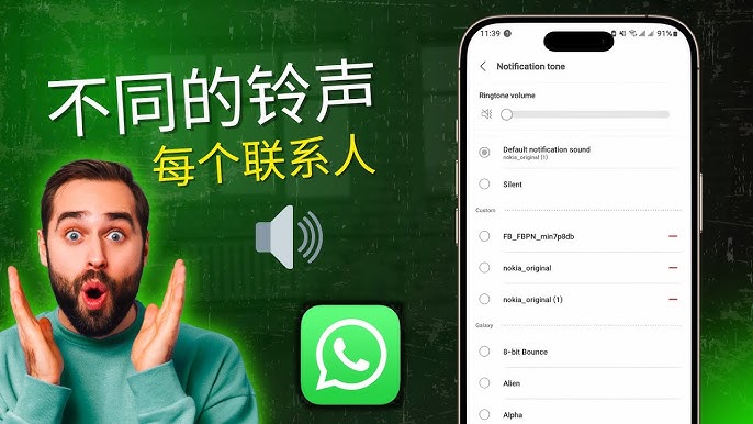 WhatsApp中文版如何设置通知铃声？