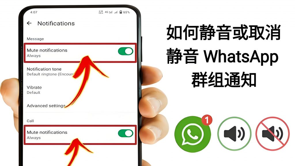 WhatsApp中文版如何开启勿扰模式？