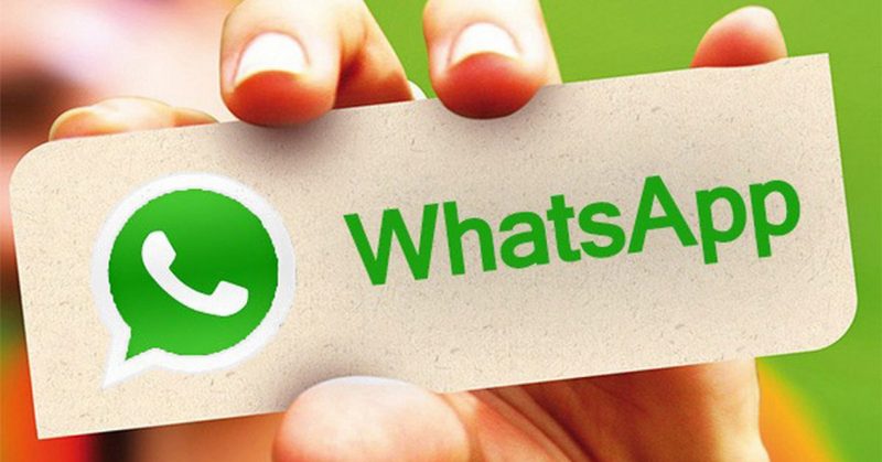 WhatsApp中文版 web可以发送PDF吗？ 使用教程图