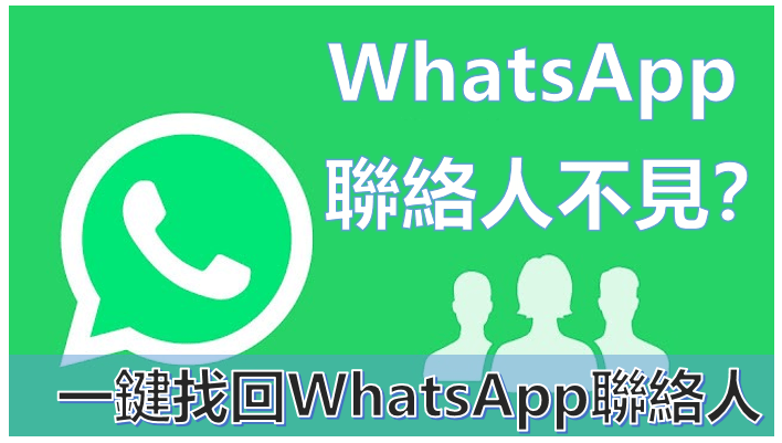 如何查看WhatsApp联系人资料？