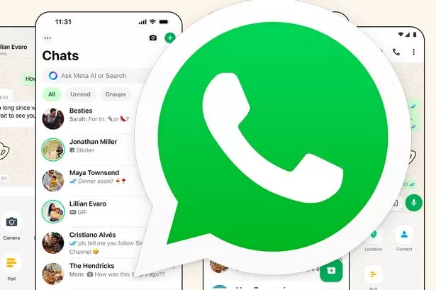 如何查看WhatsApp web联系人资料？ 使用教程图