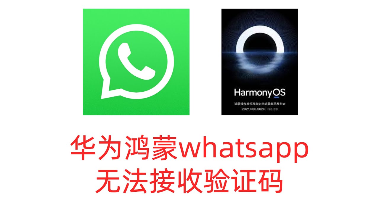 华为手机如何注册WhatsApp？ 示意图