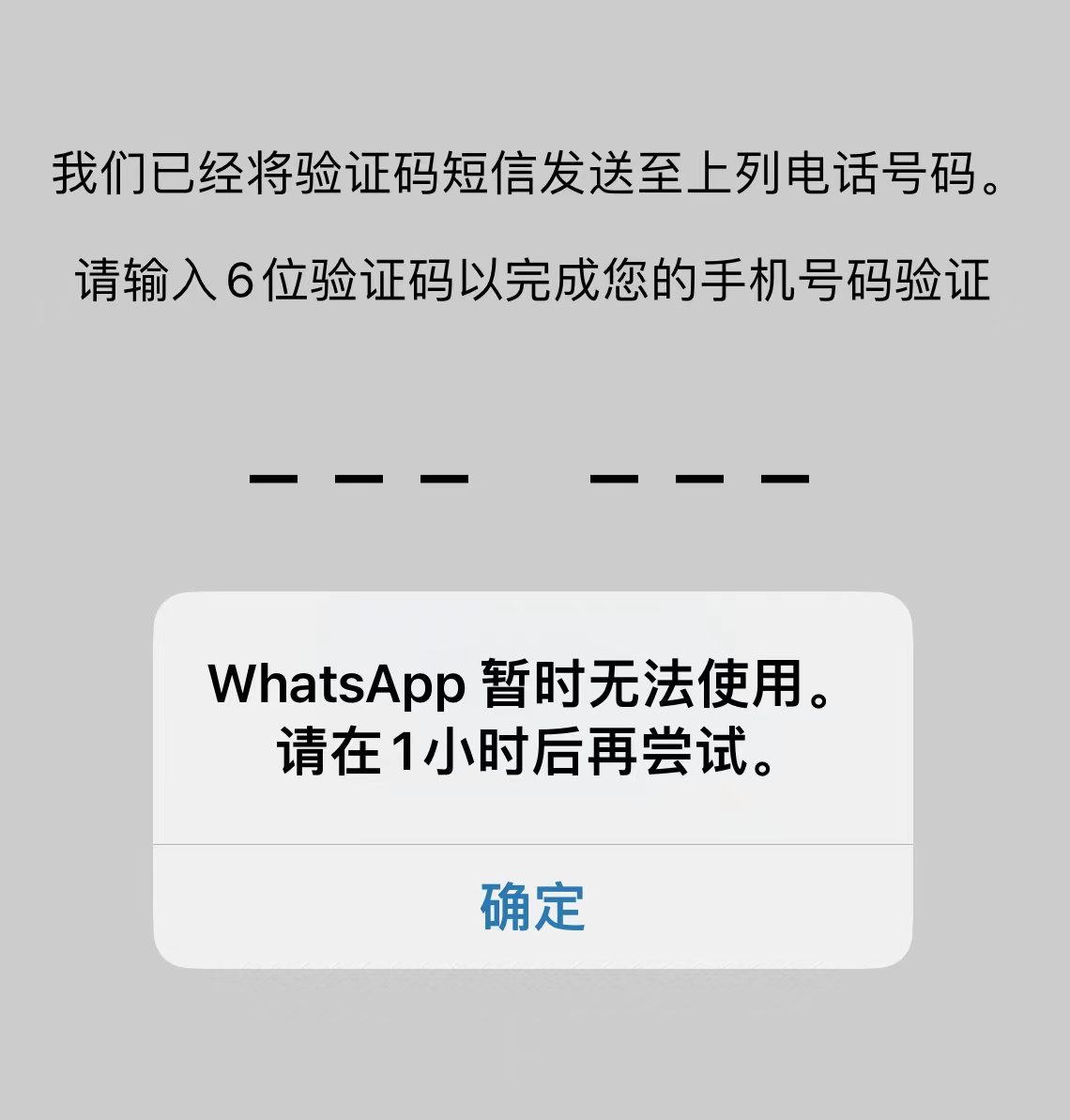 为什么WhatsApp暂时无法使用？ 功能展示图