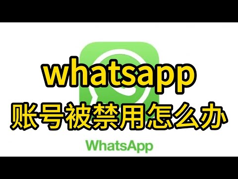为什么WhatsApp暂时无法使用？ 功能展示图