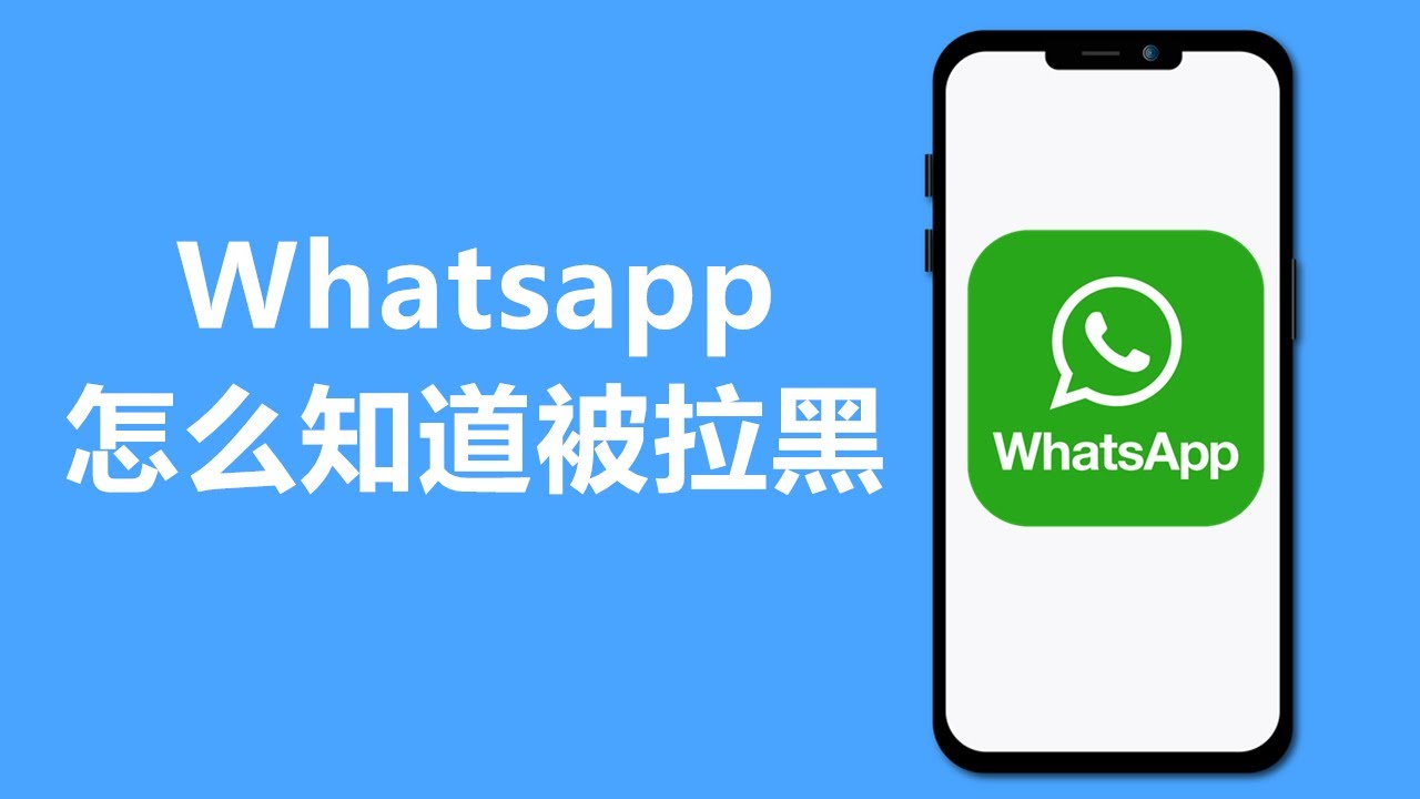 WhatsApp被拉黑是怎么样的? 登录界面截图