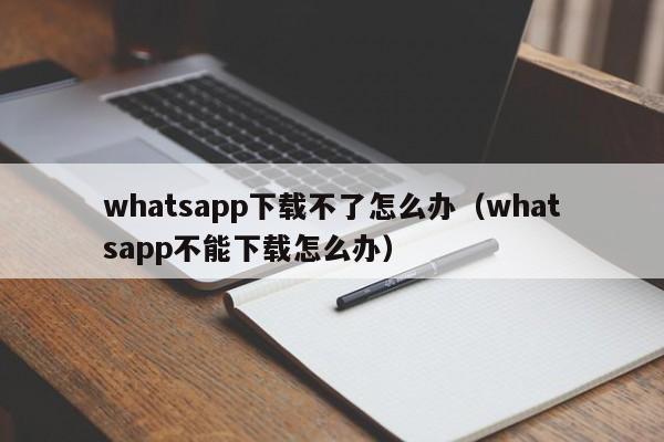 WhatsApp怎么下载不了？ 功能展示图