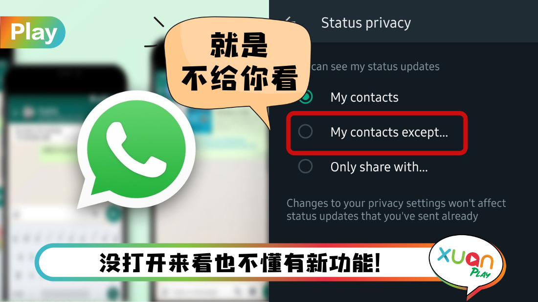 WhatsApp为什么看不到对方的头像? 示意图