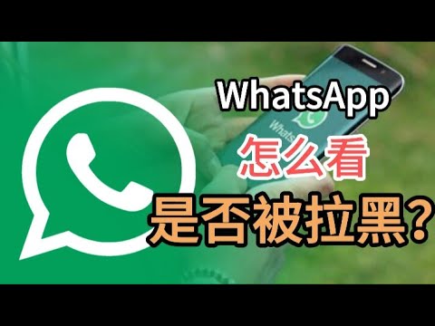 WhatsApp被拉黑是怎么样的? 登录界面截图