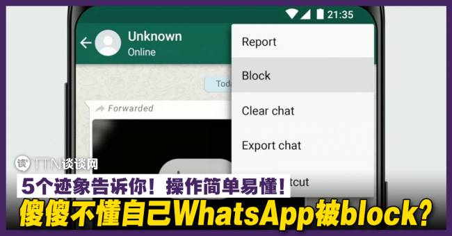 WhatsApp被拉黑是怎么样的? 步骤截图