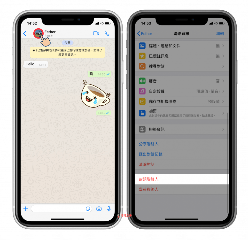 WhatsApp怎么知道被人拉黑了？ 说明图片