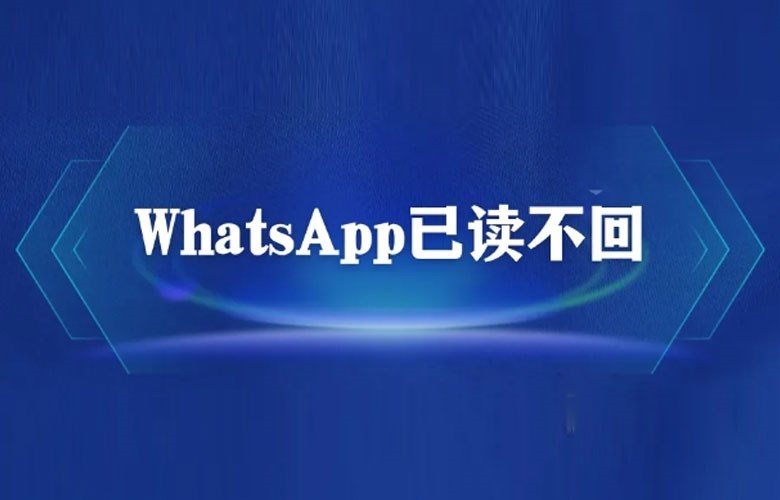 WhatsApp如何不让别人知道你已读？ 功能展示图