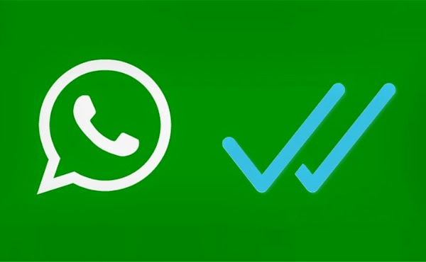 WhatsApp如何不让别人知道你已读？ 说明图片