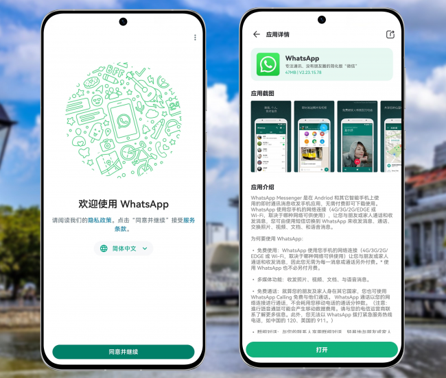 如何在手机上安装WhatsApp? 说明图片