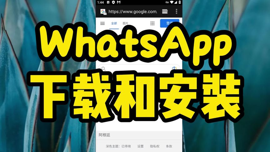 如何获取WhatsApp中文版验证码？ 使用教程图