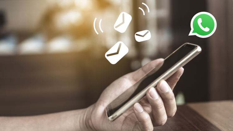 为什么不能用了网页版Whatsapp？ 示意图