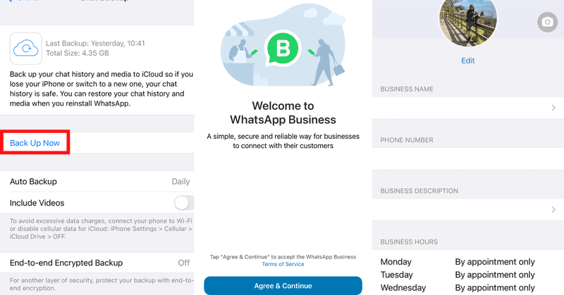 WhatsApp如何设置成商业账号？ 操作界面图